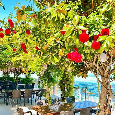 Apartment La Prime Time